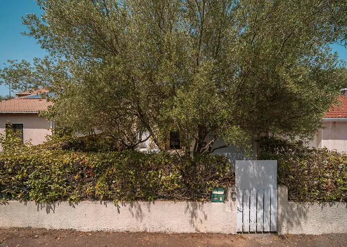 Maison Et Jardin Au Domaine Universitaire Pessac